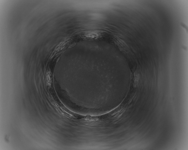 X0000101121394200807031753
