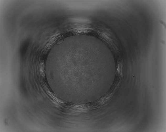 X0000101121396200807031753