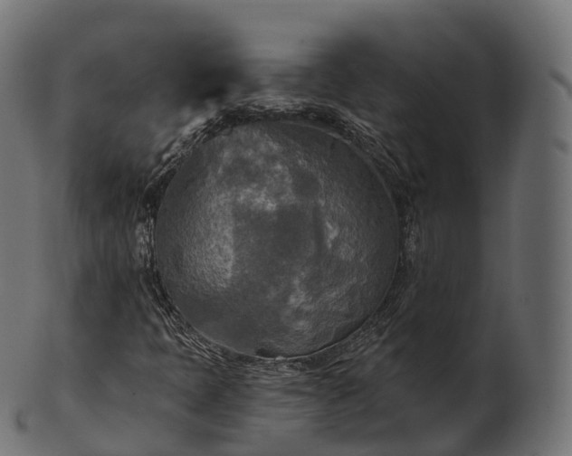 X0000101121397200807031753