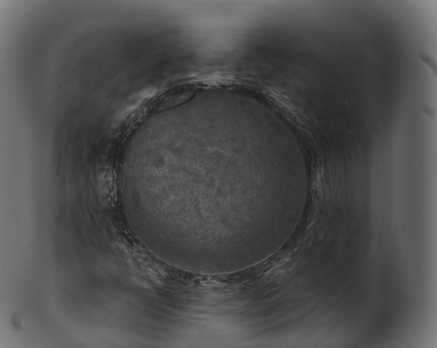 X0000101121398200807031753