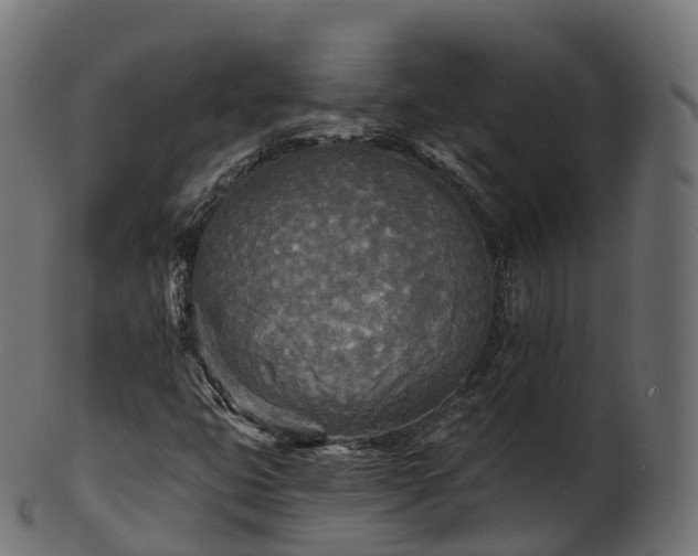 X0000101121399200807031753