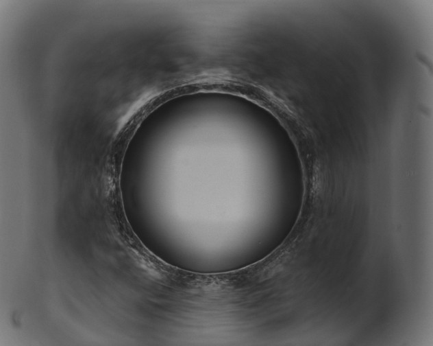 X0000101121400200807031753