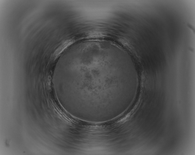 X0000101121401200807031753