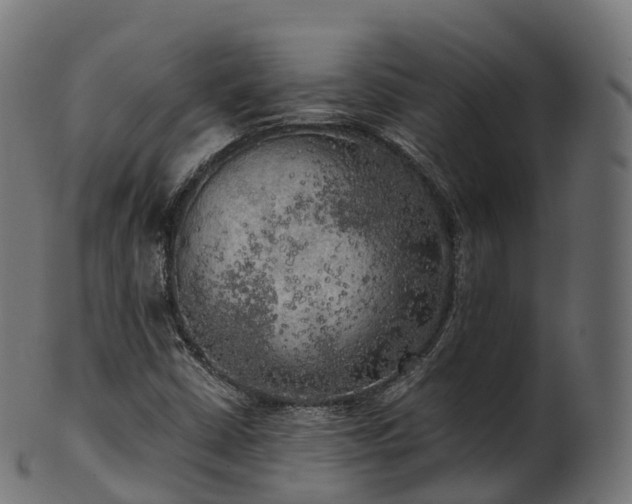 X0000101121402200807031753