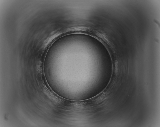 X0000101121404200807031753