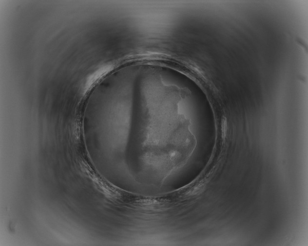 X0000101121405200807031753