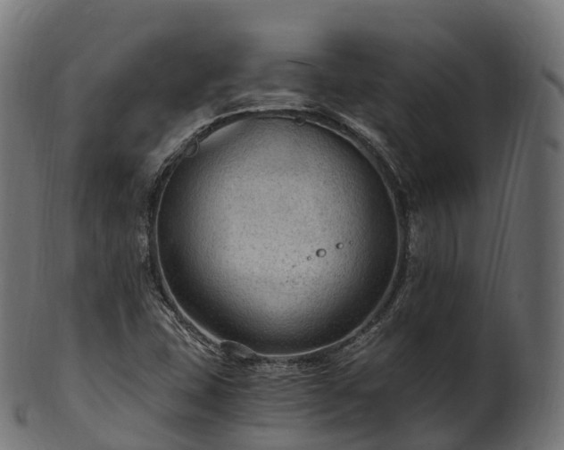 X0000101121407200807031753