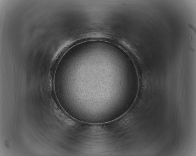 X0000101121408200807031753