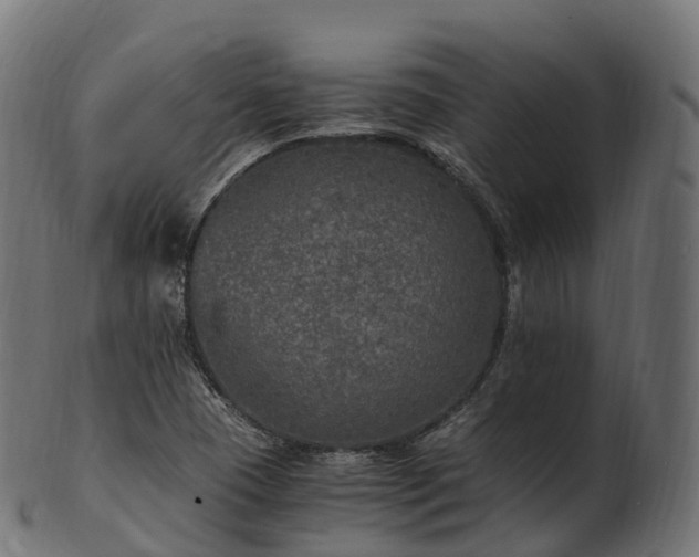 X0000101121409200807031753