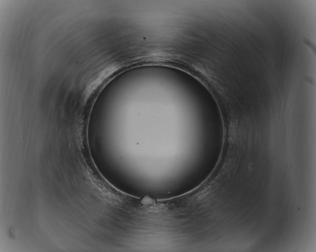 X0000101121410200807031753
