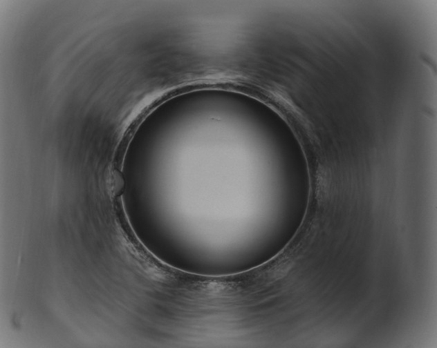 X0000101121412200807031753