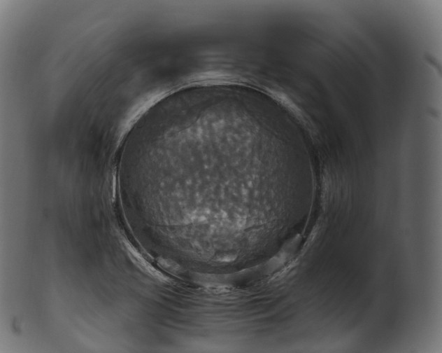 X0000101121413200807031753