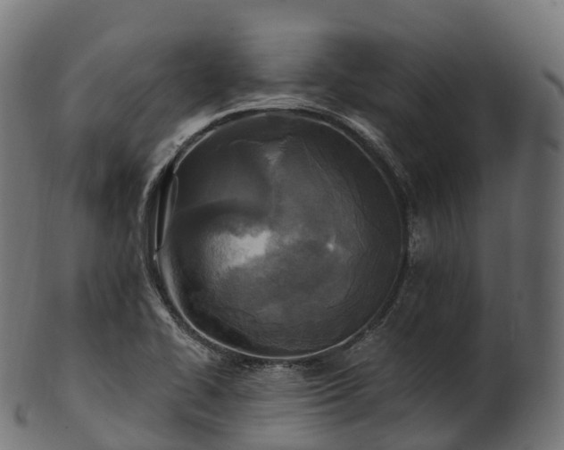 X0000101121414200807031753