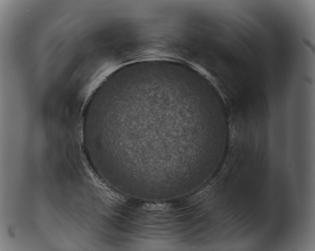 X0000101121415200807031753