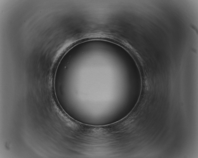 X0000101121416200807031753