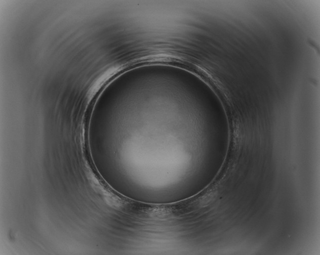 X0000101121418200807031753