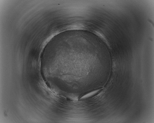 X0000101121419200807031753