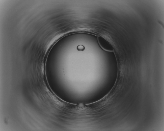 X0000101121420200807031753