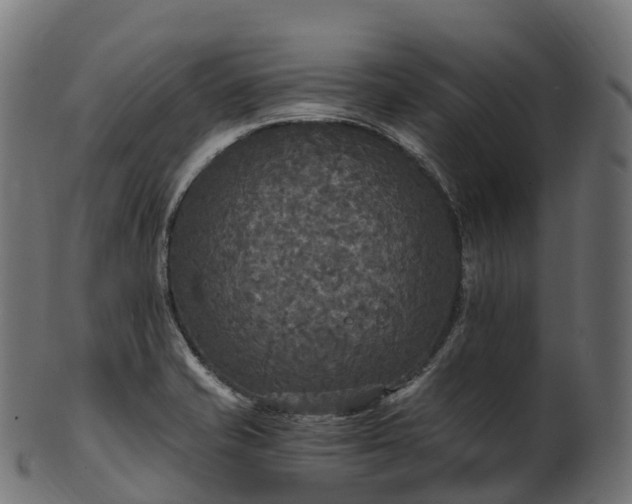 X0000101121421200807031753