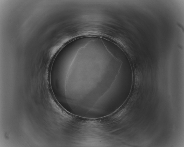 X0000101121422200807031753