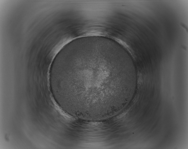 X0000101121423200807031753