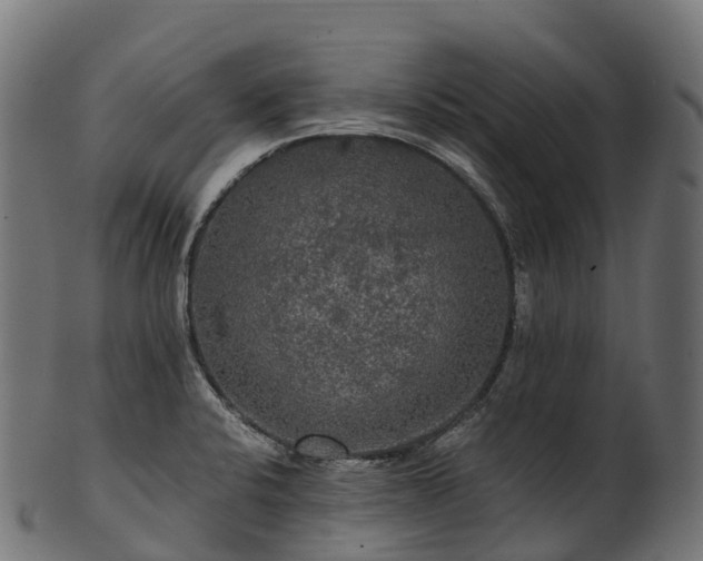 X0000101121424200807031753