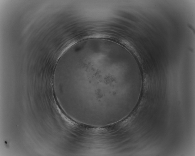 X0000101121425200807031753