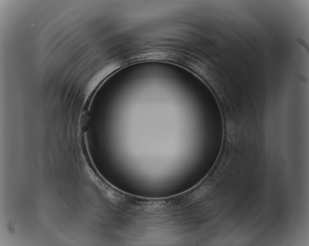 X0000101121426200807031753