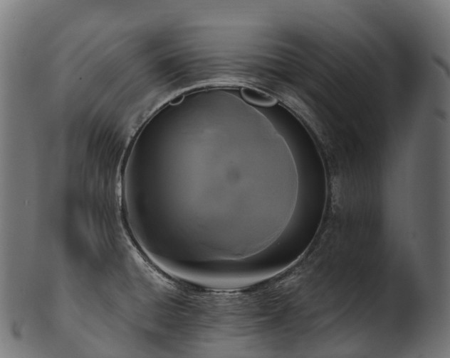 X0000101121428200807031753