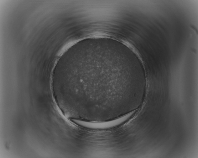X0000101121429200807031753