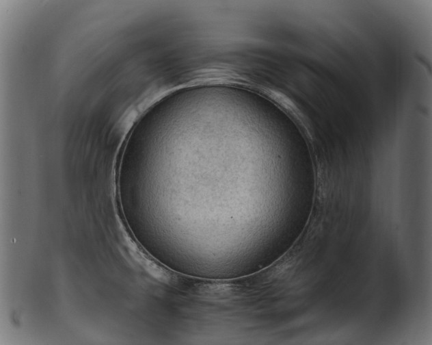 X0000101121431200807031753