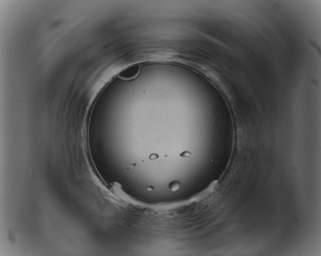 X0000101121432200807031753