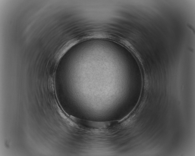X0000101121433200807031753