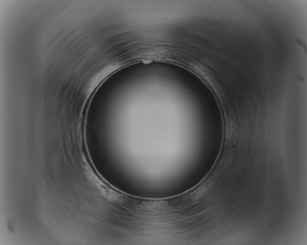 X0000101121434200807031753