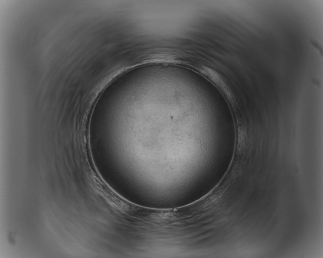 X0000101121435200807031753