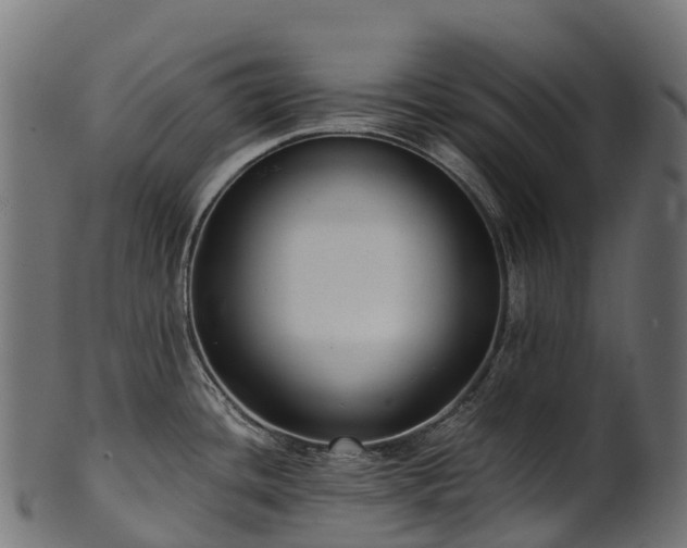X0000101121436200807031753