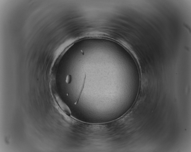 X0000101121437200807031753