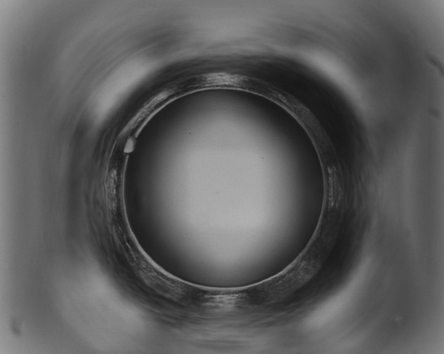 X0000101121438200807031753