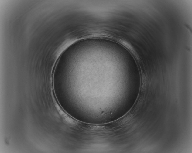 X0000101121439200807031753