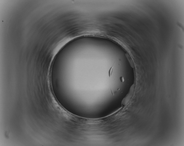 X0000101121440200807031753