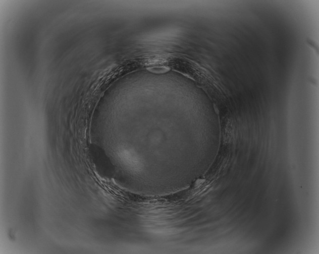X0000101121441200807031753