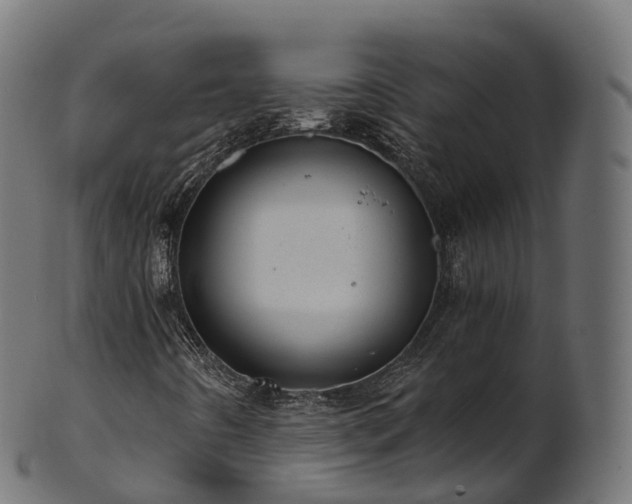 X0000101121442200807031753
