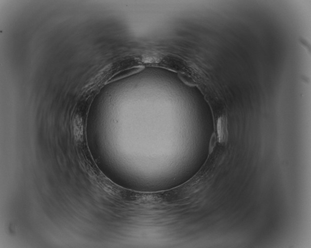 X0000101121443200807031753