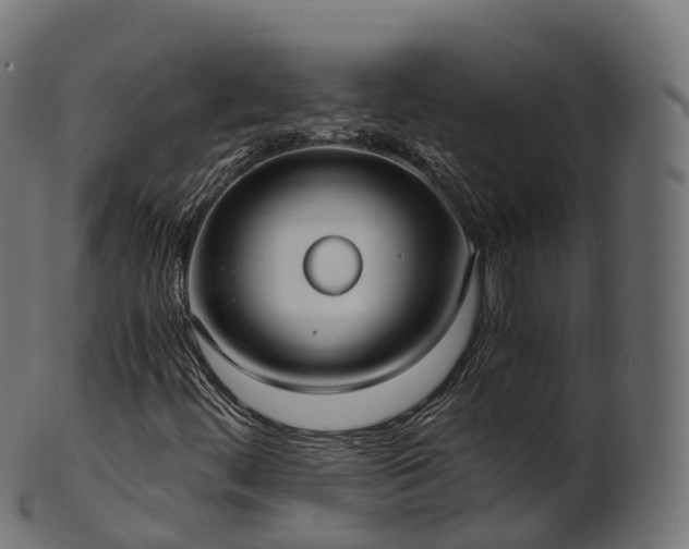 X0000101121444200807031753