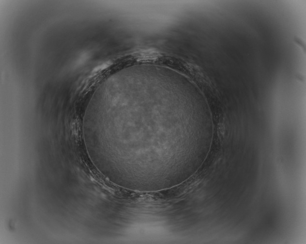 X0000101121445200807031753