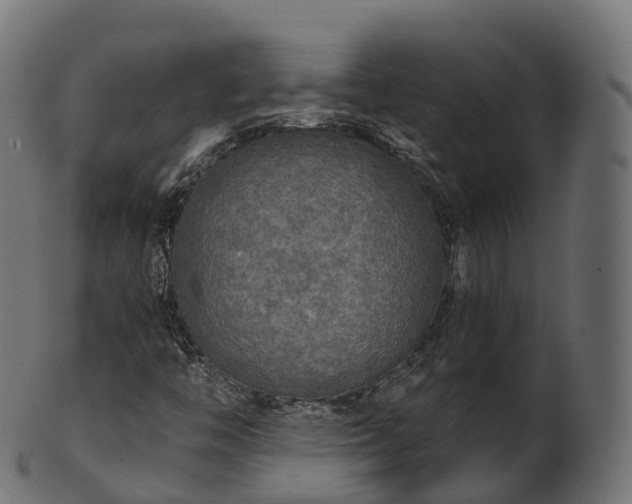 X0000101121446200807031753