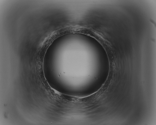 X0000101121447200807031753