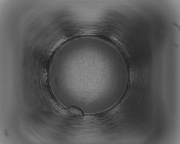 X0000101121449200807031753