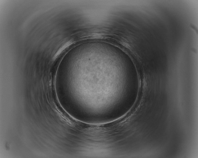 X0000101121450200807031752