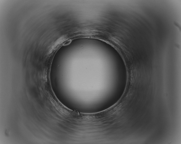 X0000101121451200807031752